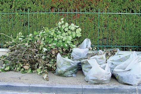 Professionnel pour se débarrasser de déchets verts à l'aide d'une remorque proche de Rouen 76